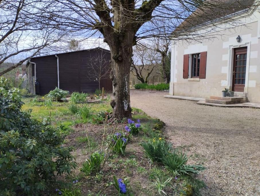 Villa La Jolie Ruche Saint-Georges-sur-Cher Exterior foto